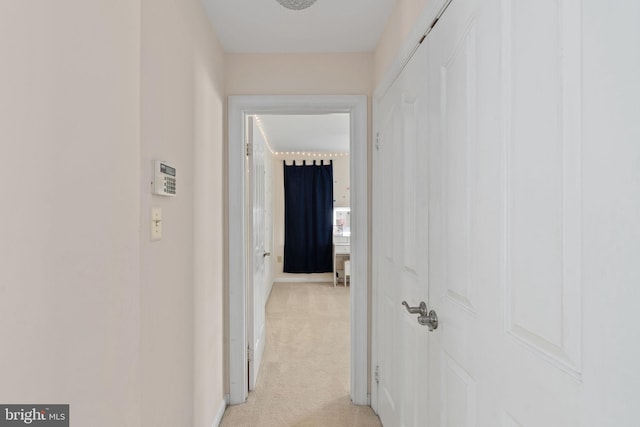 5229 Woodleaf Ct, Centreville, VA 20120 - hallway with light colored carpet and baseboards