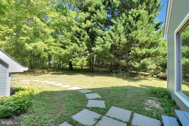 14640 Balsam Ct, Issue, MD 20645 - view of yard