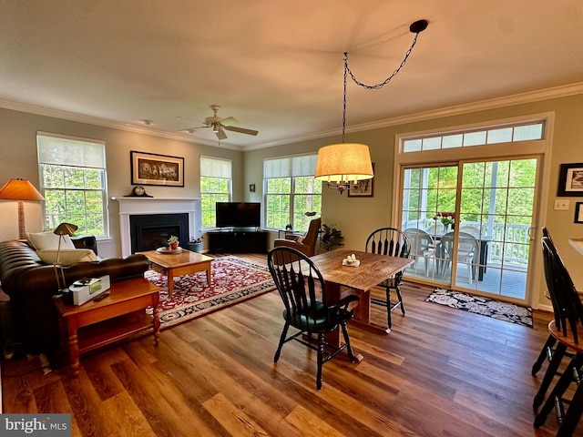 dining room with crown molding, a fireplace, a ceiling fan, and wood finished floors