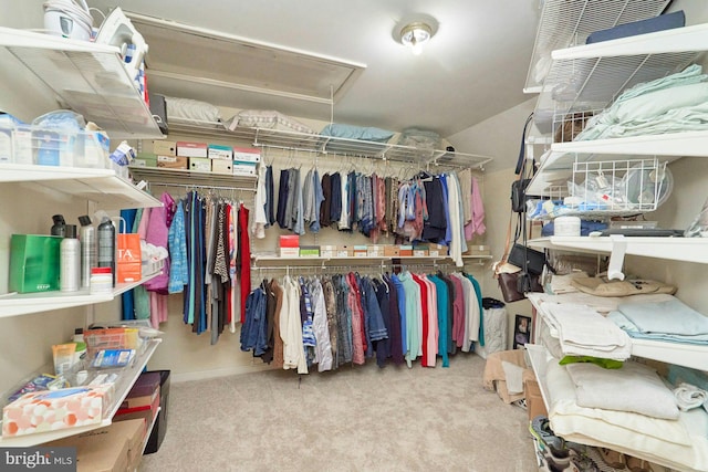 walk in closet featuring lofted ceiling, attic access, and carpet