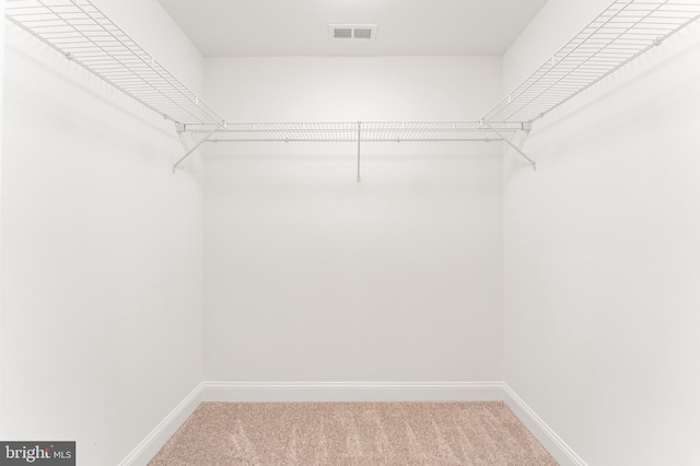 spacious closet with visible vents and carpet floors
