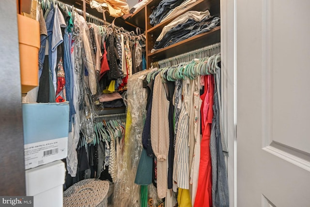 view of spacious closet
