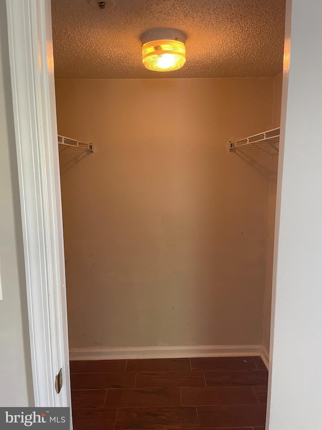 spacious closet featuring wood tiled floor
