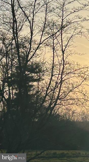 view of nature at dusk