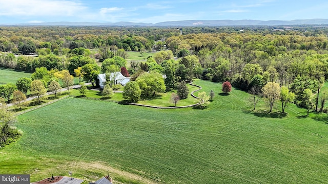 bird's eye view with a view of trees and a mountain view