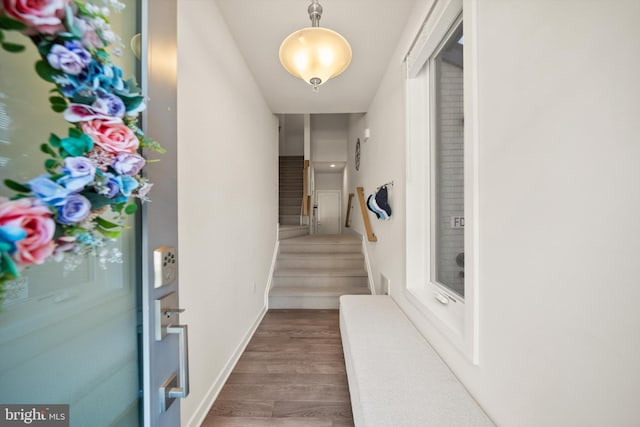hallway with stairs and dark wood-type flooring