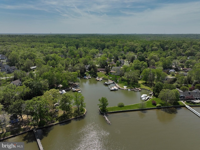 bird's eye view featuring a water view and a forest view