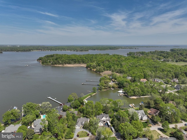 birds eye view of property with a water view and a view of trees
