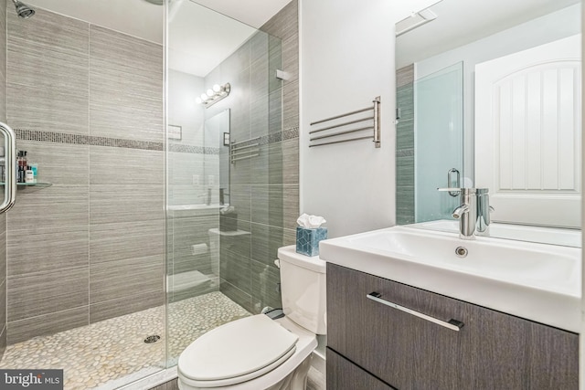 full bathroom featuring toilet, a shower stall, and vanity