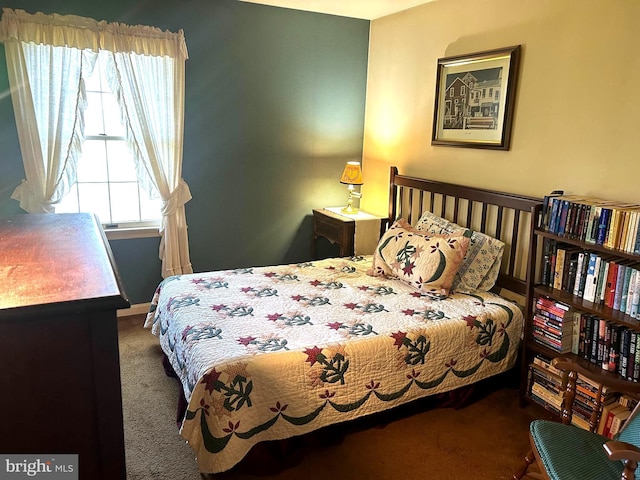 6908 Baltimore Ave, Hyattsville, MD 20782 - bedroom featuring carpet floors