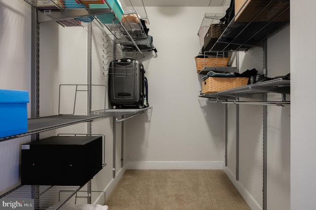 walk in closet with carpet flooring