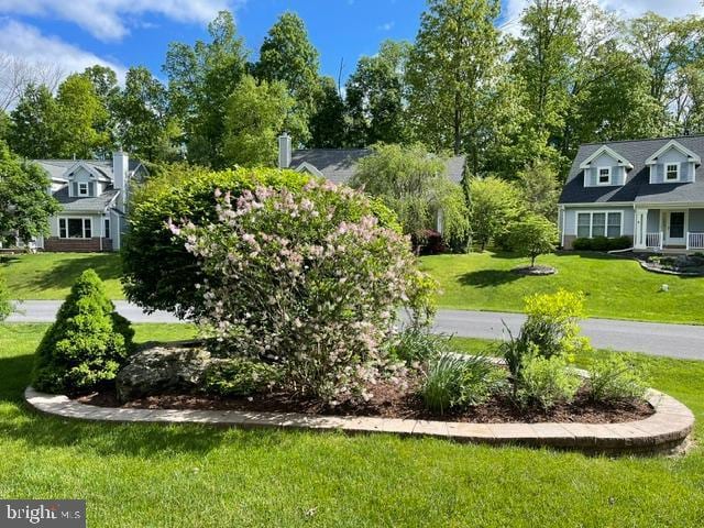 11801 Pond Crest Ct, New Market, MD 21774 - view of green lawn with view of wooded area