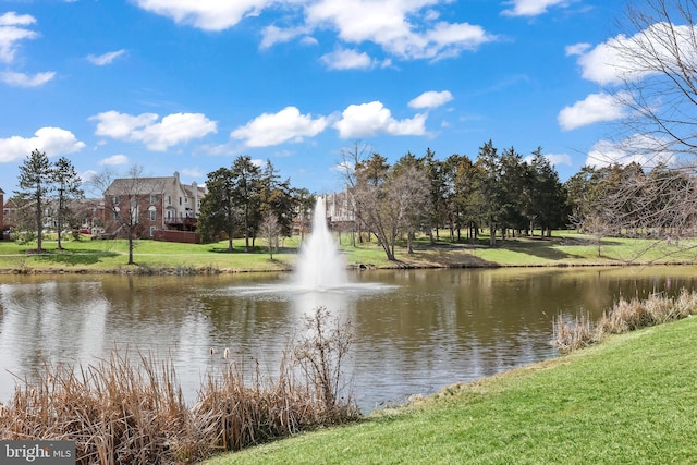 water view