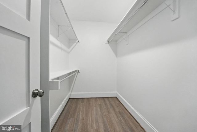 spacious closet with dark wood-style flooring