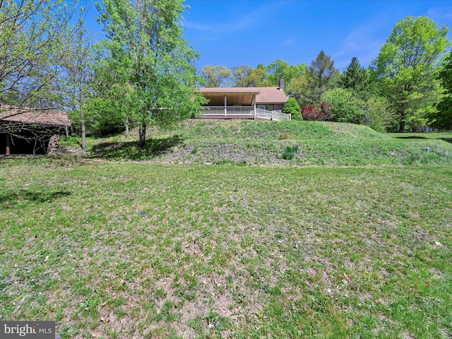 85 Gernants Church Rd, Leesport, PA 19533 - view of yard