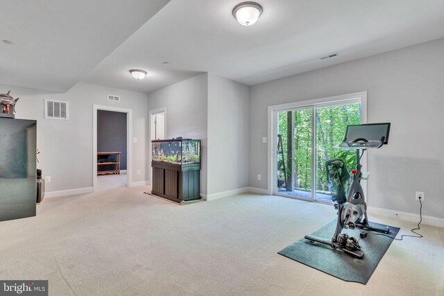 exercise room with baseboards, visible vents, and carpet