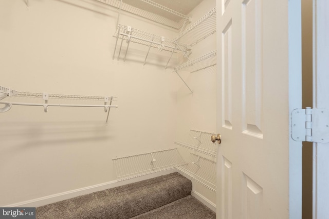13830 Lord Fairfax Pl, Upper Marlboro, MD 20772 - spacious closet with carpet floors