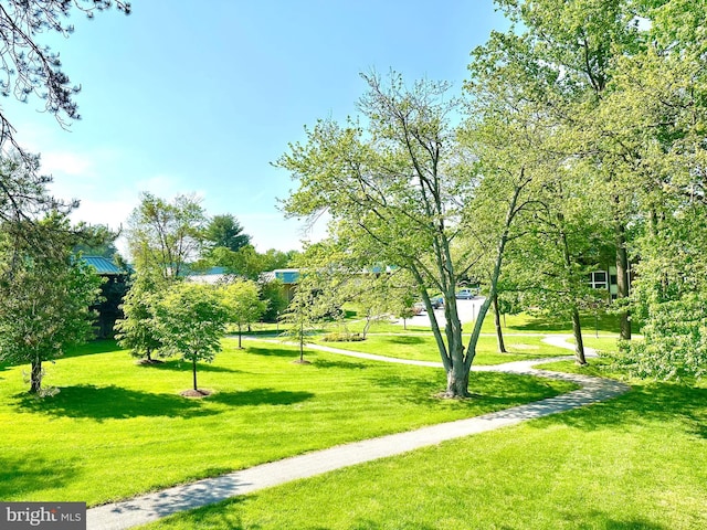 view of community featuring a yard