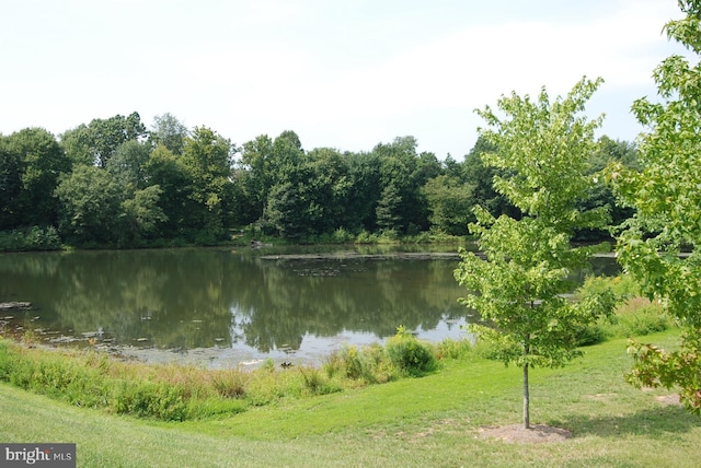 130 Chevy Chase St Unit 404, Gaithersburg, MD 20878 - water view featuring a forest
