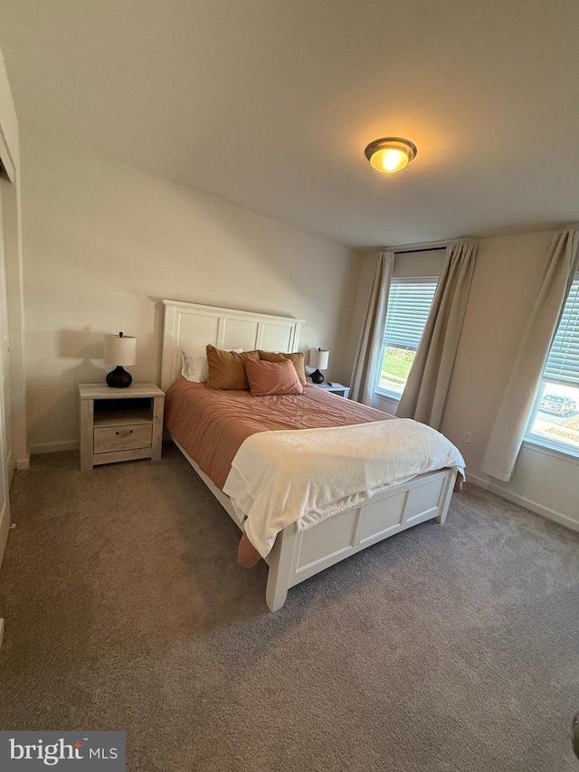 bedroom featuring carpet floors, baseboards, and multiple windows