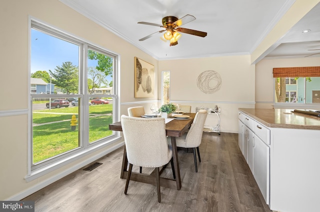 dining area featuring plenty of natural light and ceiling fan