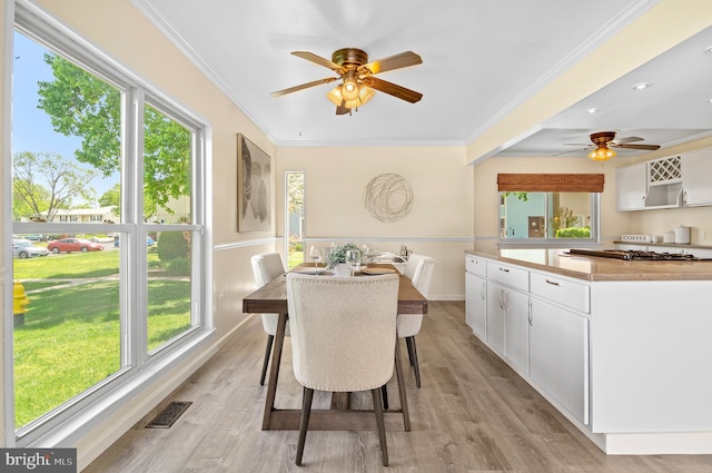 dining room with ceiling fan, visible vents, ornamental molding, and light wood finished floors