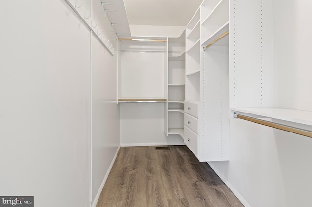 walk in closet featuring dark wood finished floors