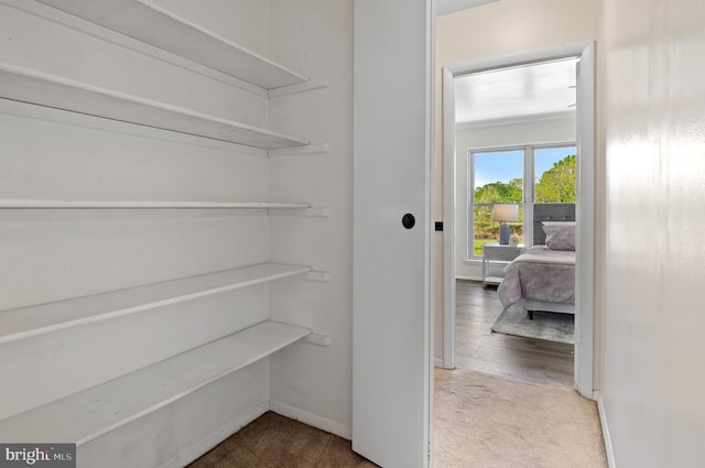 view of pantry
