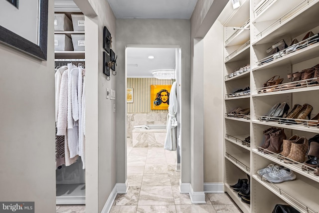 view of walk in closet