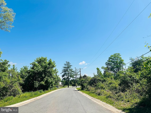 view of road with curbs
