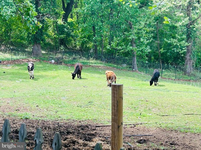 view of home's community featuring a yard, a rural view, and fence