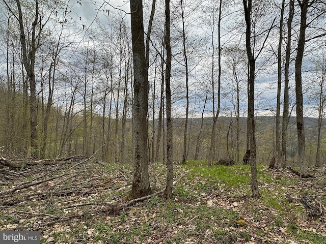 111 Rob Roy Rd, Bradford, PA 16701