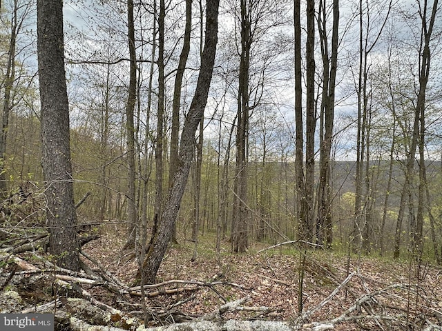 111 Rob Roy Rd, Bradford, PA 16701