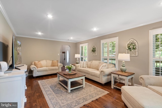 living room featuring ornamental molding and a wealth of natural light