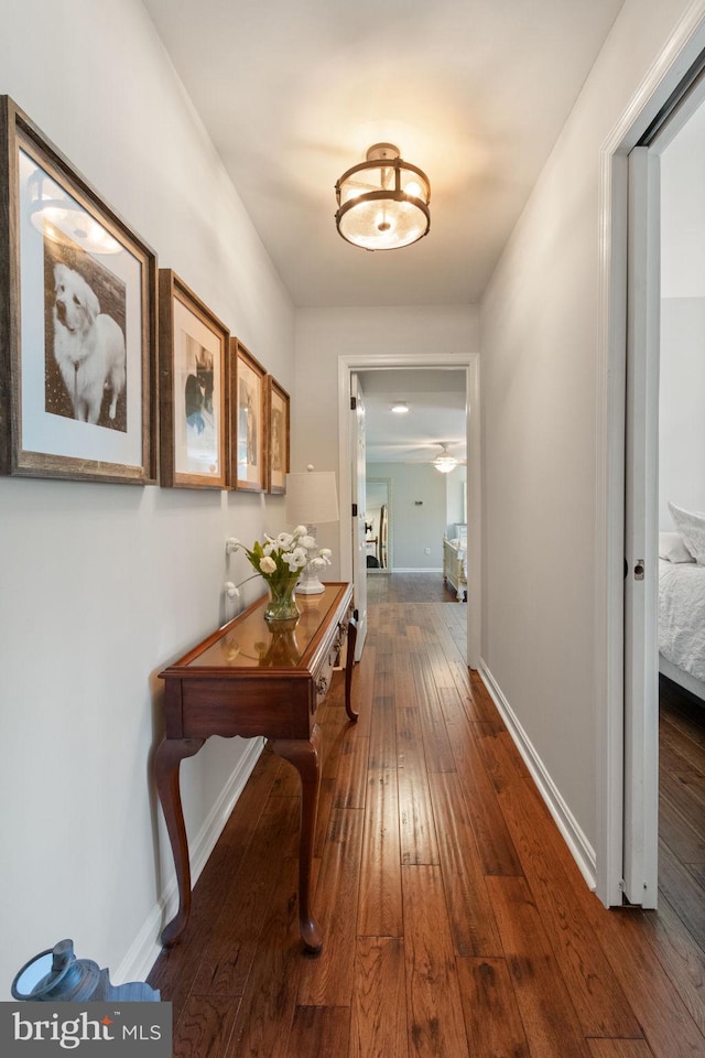 hallway featuring baseboards and wood-type flooring