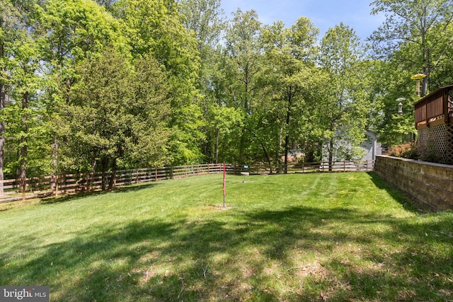 view of yard featuring a fenced backyard