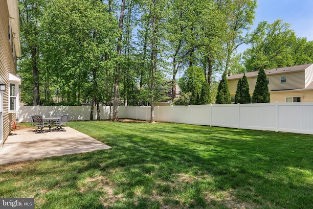 view of yard featuring a fenced backyard and a patio area