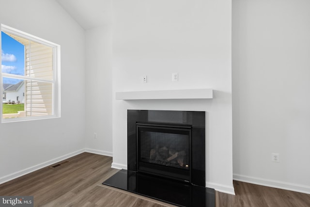 details featuring a glass covered fireplace, baseboards, wood finished floors, and visible vents