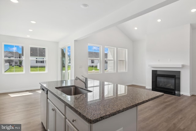 kitchen with a sink, baseboards, stainless steel dishwasher, and wood finished floors