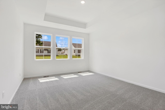 unfurnished room featuring baseboards, a raised ceiling, and carpet