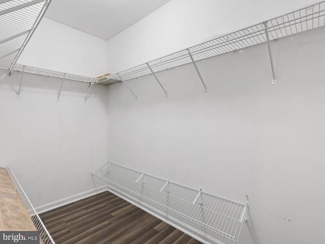 34 Dovetree Dr, Newark, DE 19713 - walk in closet featuring wood finished floors