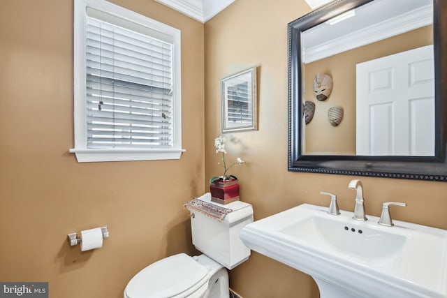 bathroom with a sink, crown molding, and toilet