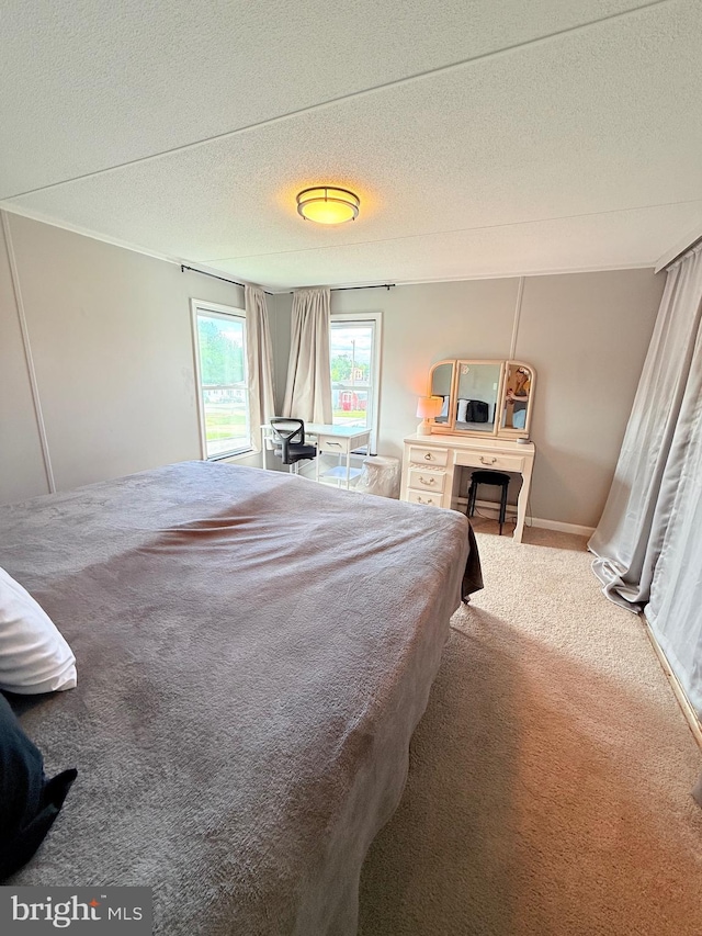 38 Clara St, Norristown, PA 19403 - bedroom with a textured ceiling and carpet flooring