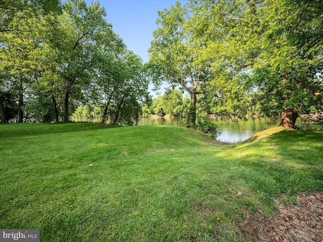 173 Riverside Dr, Harpers Ferry, WV 25425 - view of green lawn with a water view