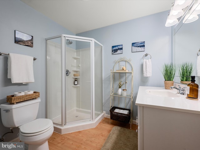 173 Riverside Dr, Harpers Ferry, WV 25425 - full bathroom with a stall shower, wood finished floors, vanity, and toilet