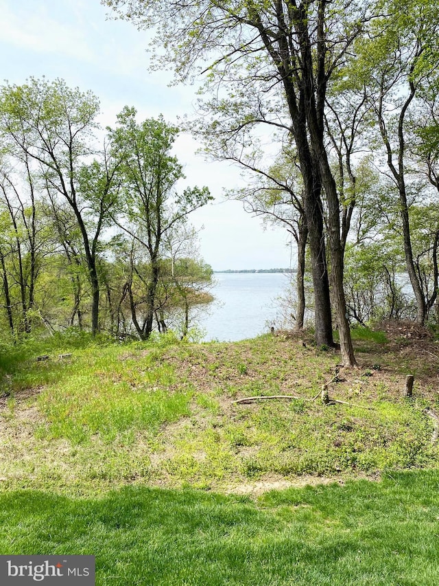 70 River Ln, Delanco, NJ 08075 - water view