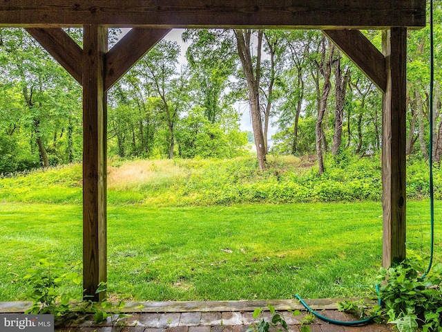 70 River Ln, Delanco, NJ 08075 - view of green lawn