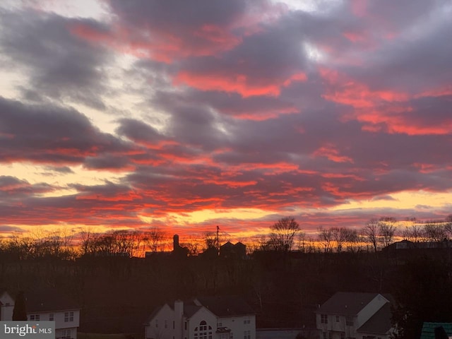 view of nature at dusk