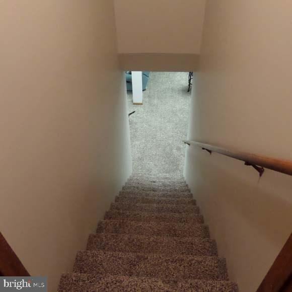 staircase with carpet