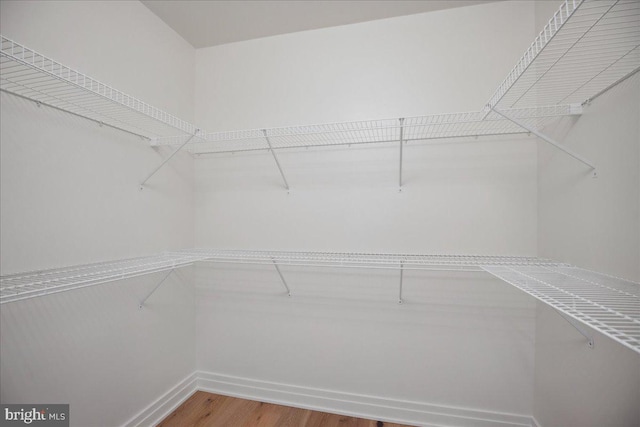 923 V St NW Unit 601, Washington, DC 20001 - walk in closet with light wood-type flooring